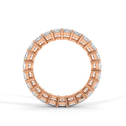 Eclipse of Elegance Band